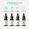 Aceite CBD Purificado Cannactiva