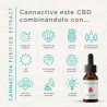 copy of Aceite CBD Cannactiva